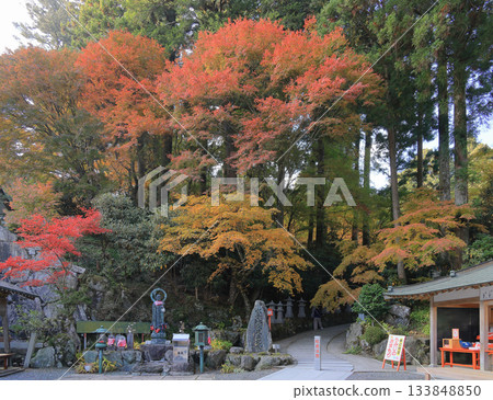 Autumn leaves near the Mizuko Jizo statue in front of the sutra offering office, to the right of the main hall of Unpenji Temple, the 66th temple of the Shikoku Pilgrimage Autumn leaves near the Mizuko Jizo statue in front of the sutra offering office, to the right of the main hall of Unpenji Temple, the 66th temple of the Shikoku Pilgrimage 133848850