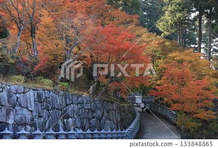 Autumn leaves near the road to the ropeway station, seen from the square in front of the temple gate at Unpenji Temple, the 66th temple of the Shikoku Pilgrimage Autumn leaves near the road to the ropeway station, seen from the square in front of the temple gate at Unpenji Temple, the 66th temple of the Shikoku Pilgrimage 133848865