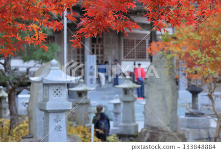 四國巡禮第66座寺院－雲邊寺大師殿附近的秋葉 133848884