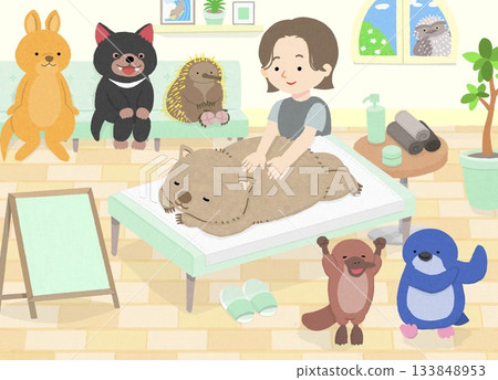 A wombat receiving a massage, along with other animals (Tasmanian devil, echidna, wallaby, platypus) 133848953
