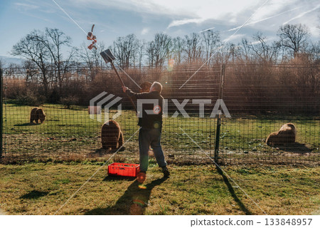 Sanctuary Worker Feeding Bears in Romania Sanctuary Worker Feeding Bears in Romania 133848957