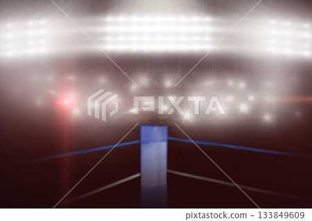 Composite image of boxing ring 133849609