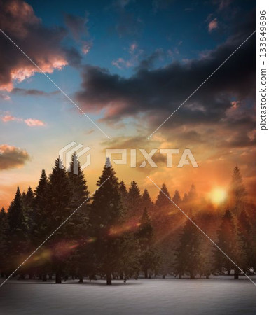 Fir tree forest in snowy landscape Fir tree forest in snowy landscape 133849696