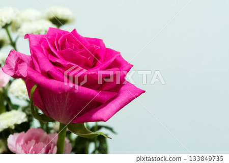 玫瑰粉紅色 玫瑰粉紅色 133849735