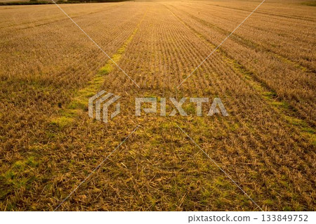 Cultivated brown farm field Cultivated brown farm field 133849752