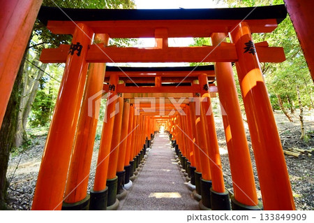 京都府，伏見稻荷大社，千鳥居（近月之宮本社），京都市伏見區，2022年2月 133849909