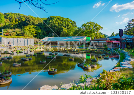 [福岡] 太宰府天滿宮 133850157