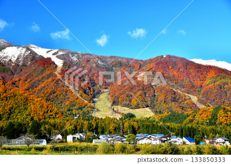 白馬五龍滑雪場景色（長野縣白馬村）[2025年11月] 133850333