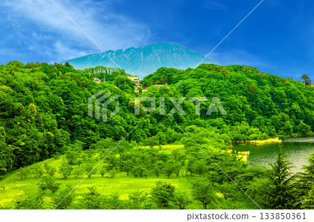 Mount Bandai floating in the green forest 133850361