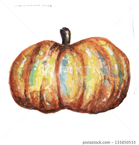 Beautiful Watercolour Pumpkin Squash Autumn Illustration Beautiful Watercolour Pumpkin Squash Autumn Illustration 133850533