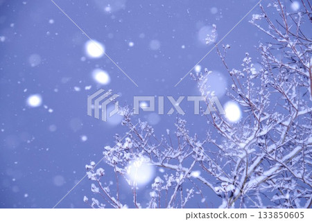 Snow falling day 133850605