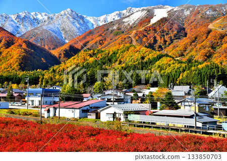 View of Hakuba Goryu Ski Resort from Iimori Station on the JR Oito Line (Hakuba Village, Nagano Prefecture) [November 2025] 133850703