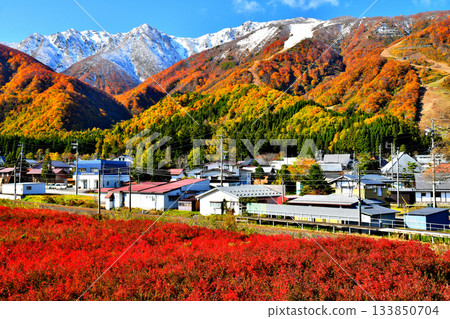 View of Hakuba Goryu Ski Resort from Iimori Station on the JR Oito Line (Hakuba Village, Nagano Prefecture) [November 2025] 133850704