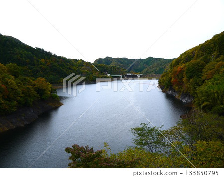 諾森湖的秋葉 133850795