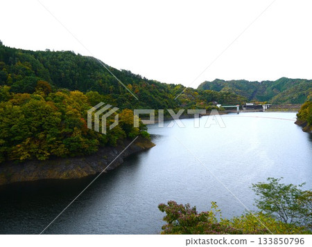 Autumn leaves at Lake Nosen 133850796
