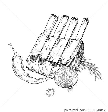 Vector composition with meat on the ribs with red pepper, onion, rosemary. Graphic ink pork or beef illustration, isolated on background. Hand drawn line sketch. For designers, prints, logo, icon 133850847