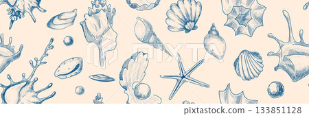 Vintage seashell pattern with hand drawn sketches Vintage seashell pattern with hand drawn sketches 133851128