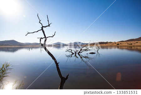 Flat design scene showing tranquil lake reflecting dead branches and rolling hills under clear sky Flat design scene showing tranquil lake reflecting dead branches and rolling hills under clear sky 133851531