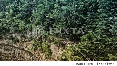 Forest on the edge of the void Forest on the edge of the void 133851662