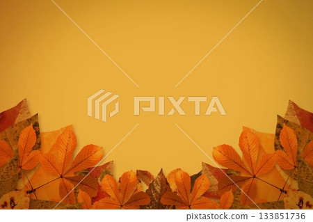 Flat design autumn leaves are forming border along bottom on golden gradient backdrop, copy space Flat design autumn leaves are forming border along bottom on golden gradient backdrop, copy space 133851736