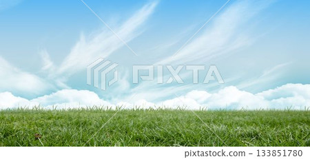 Green field under blue sky 133851780