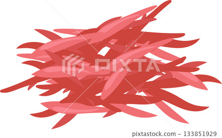 asian cuisine ingredient pink pickled ginger illustration for food asian cuisine ingredient pink pickled ginger illustration for food 133851929
