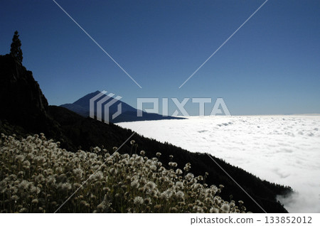 volcanic landscape found on the ascent to the volcano teide volcanic landscape found on the ascent to the volcano teide 133852012
