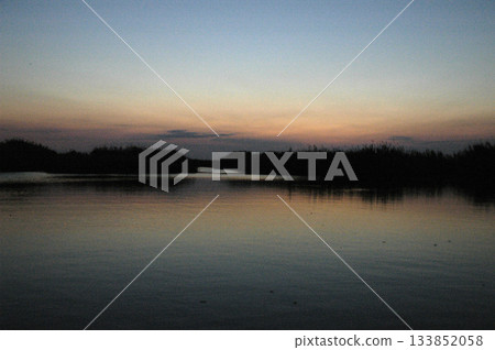 sunset illuminations in the wetlands sunset illuminations in the wetlands 133852058