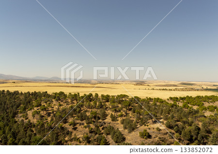 Crop area in extreme dry season, with a pine forest in front of it Crop area in extreme dry season, with a pine forest in front of it 133852072