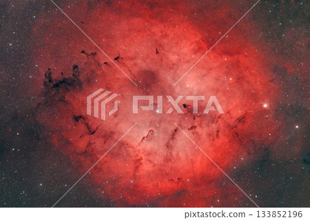 象鼻星雲_2025.07 象鼻星雲_2025.07 133852196