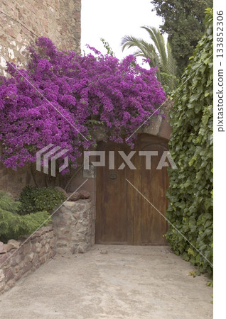entrance door decorated with plants and flowers 133852306