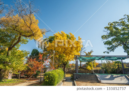 Yodo Castle Ruins Park in late autumn, Fushimi Ward, Kyoto City Yodo Castle Ruins Park in late autumn, Fushimi Ward, Kyoto City 133852737