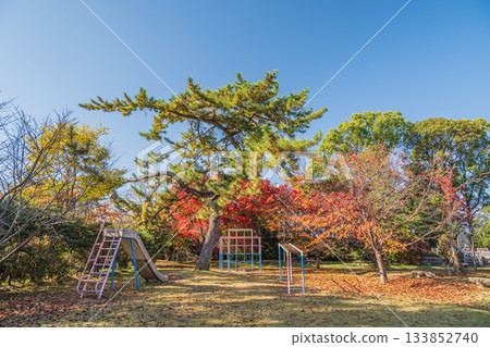 京都市伏見區淀城遺址公園，秋末景色 133852740