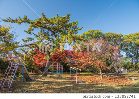 京都市伏見區淀城遺址公園，秋末景色 133852741