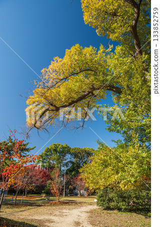 Yodo Castle Ruins Park in late autumn, Fushimi Ward, Kyoto City 133852759