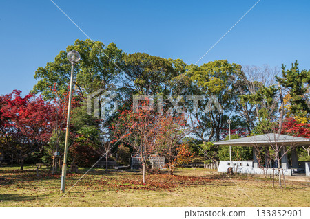 Yodo Castle Ruins Park in late autumn, Fushimi Ward, Kyoto City Yodo Castle Ruins Park in late autumn, Fushimi Ward, Kyoto City 133852901