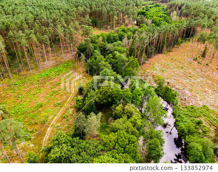 Brda river and Tuchola forest in Poland. Aerial view 133852974