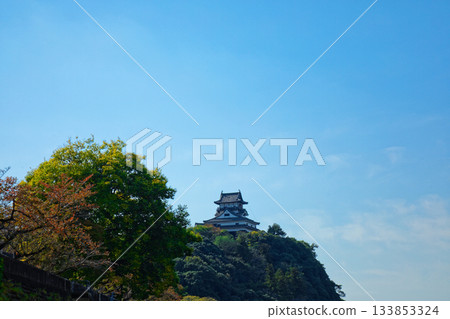 View of Inuyama Castle from the Kiso River Promenade View of Inuyama Castle from the Kiso River Promenade 133853324