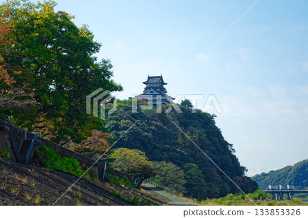 View of Inuyama Castle from the Kiso River Promenade 133853326