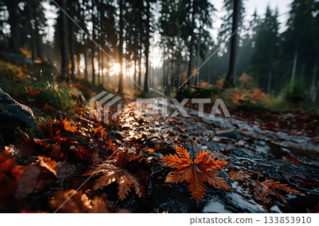 Autumn Leaves and Sunrise in a Tranquil Forest Scene for Nature Inspiration and Decoration Generative AI Autumn Leaves and Sunrise in a Tranquil Forest Scene for Nature Inspiration and Decoration Generative AI 133853910