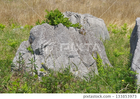 Akiyoshidai limestone 133853973