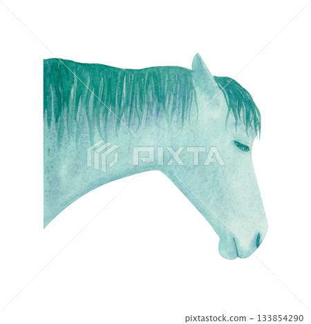 Horse in profile watercolor illustration isolated on white. The minimal, serene style for animal projects, nature themes, farm designs, peaceful decorative visuals. Year 2026. Turquoise with gradients Horse in profile watercolor illustration isolated on white. The minimal, serene style for animal projects, nature themes, farm designs, peaceful decorative visuals. Year 2026. Turquoise with gradients 133854290