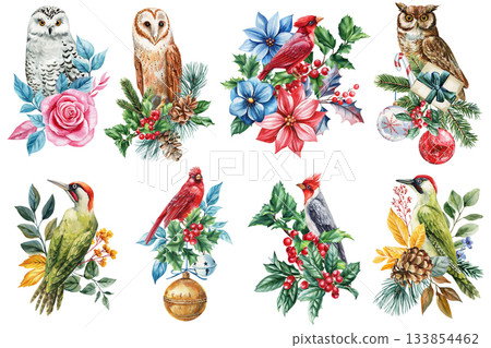 Watercolor forest Birds Collection with Holly, Flowers, Pine Cones and Winter Botanical Elements, holiday postcard Watercolor forest Birds Collection with Holly, Flowers, Pine Cones and Winter Botanical Elements, holiday postcard 133854462