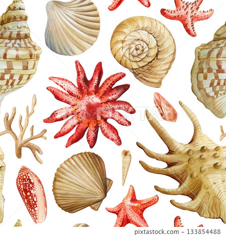 Seashells starfish red coral watercolor marine pattern with coastal shells and ocean elements for summer beach design pattern Seashells starfish red coral watercolor marine pattern with coastal shells and ocean elements for summer beach design pattern 133854488