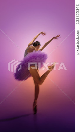 Ballet dancer in expressive purple tutu pose on soft warm gradient. Ballet dancer in expressive purple tutu pose on soft warm gradient. 133855348