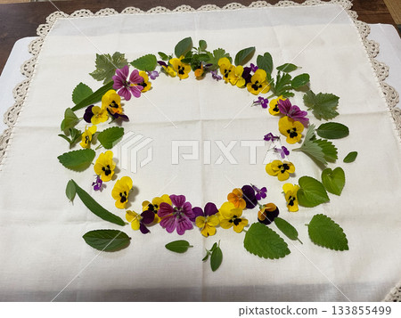 Flower Play: Violas blooming in the garden and leaves dyed Flower Play: Violas blooming in the garden and leaves dyed 133855499