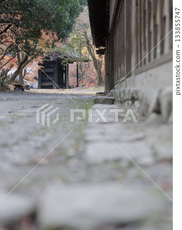 Late autumn, Akizuki Castle ruins, road to Kuromon Gate 133855747