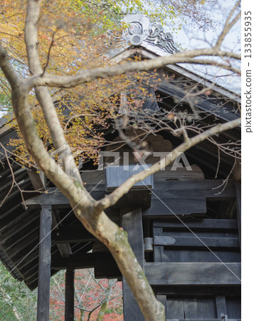 Late autumn, Akizuki Castle ruins, Kuromon gate surrounded by autumn leaves 133855935