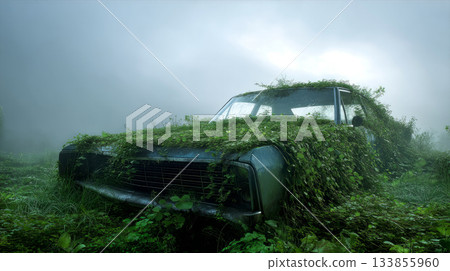Abandoned broken rusty car without wheels on the street . Concept of pollution of nature environment. Call for urgent action to protect the environment and waste disposal. Abandoned broken rusty car without wheels on the street . Concept of pollution of nature environment. Call for urgent action to protect the environment and waste disposal. 133855960