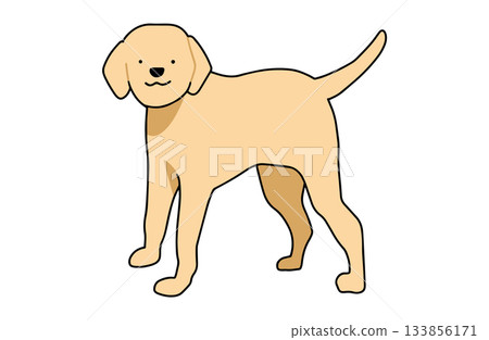 站著,看著你——手繪拉布拉多尋回犬插圖,線條流暢。 站著,看著你——手繪拉布拉多尋回犬插圖,線條流暢。 133856171
